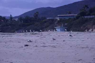 DSC_2204 (Large).JPG